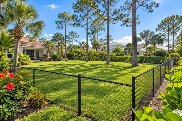 Chain Link Fences